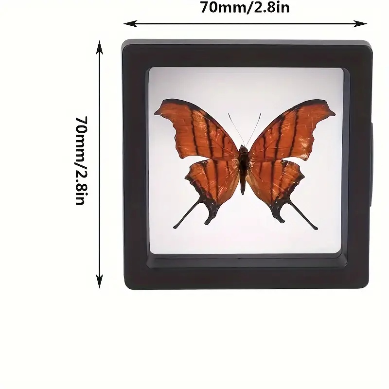 20 ชิ้น Clearview 3D ลอยจอแสดง - Jewelry Making Box บทวิจารณ์และราคา